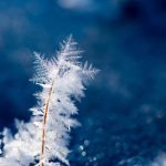 Desinfektion bei kalten Temperaturen